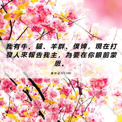 Picture 06 - 創 世 記 32:5 CUVT - 我 有 牛 、 驢 、 羊 群 、 僕 婢 ， - Bible Verse Picture