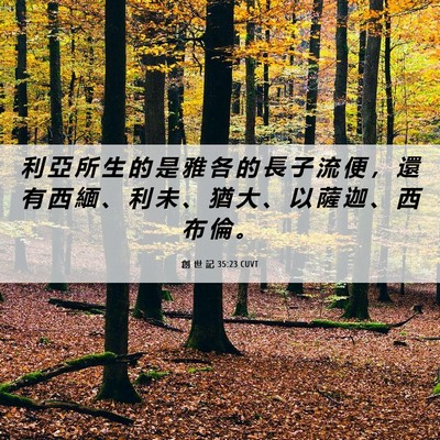 Picture 06 - 創 世 記 35:23 CUVT - 利 亞 所 生 的 是 雅 各 的 長 子 流 - Bible Verse Picture