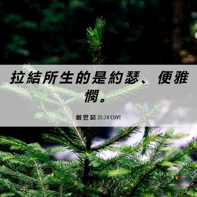 Picture 06 - 創 世 記 35:24 CUVT - 拉 結 所 生 的 是 約 瑟 、 便 雅 憫 - Bible Verse Picture