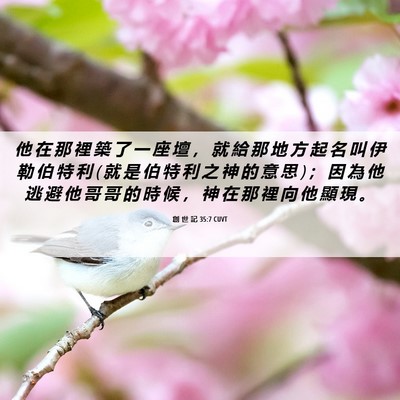Picture 06 - 創 世 記 35:7 CUVT - 他 在 那 裡 築 了 一 座 壇 ， 就 給 - Bible Verse Picture