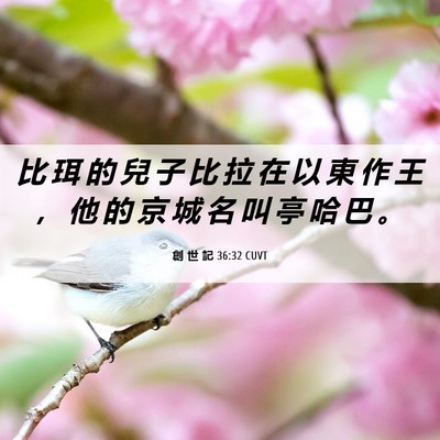 Picture 06 - 創 世 記 36:32 CUVT - 比 珥 的 兒 子 比 拉 在 以 東 作 王 - Bible Verse Picture
