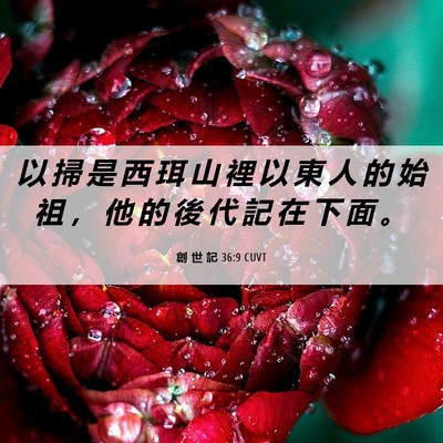 Picture 06 - 創 世 記 36:9 CUVT - 以 掃 是 西 珥 山 裡 以 東 人 的 始 - Bible Verse Picture