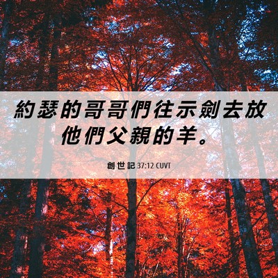 Picture 06 - 創 世 記 37:12 CUVT - 約 瑟 的 哥 哥 們 往 示 劍 去 放 他 - Bible Verse Picture