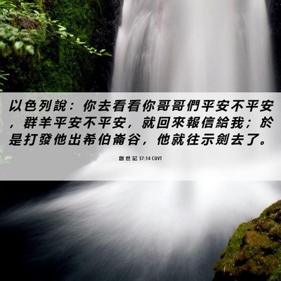 Picture 06 - 創 世 記 37:14 CUVT - 以 色 列 說 ： 你 去 看 看 你 哥 哥 - Bible Verse Picture