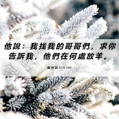 Picture 06 - 創 世 記 37:16 CUVT - 他 說 ： 我 找 我 的 哥 哥 們 ， 求 - Bible Verse Picture