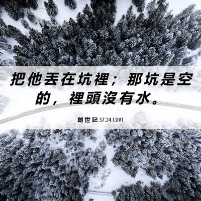 Picture 06 - 創 世 記 37:24 CUVT - 把 他 丟 在 坑 裡 ； 那 坑 是 空 的 - Bible Verse Picture