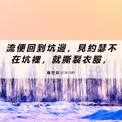 Picture 06 - 創 世 記 37:29 CUVT - 流 便 回 到 坑 邊 ， 見 約 瑟 不 在 - Bible Verse Picture