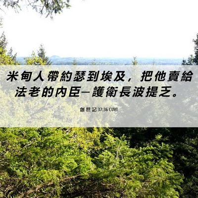 Picture 06 - 創 世 記 37:36 CUVT - 米 甸 人 帶 約 瑟 到 埃 及 ， 把 他 - Bible Verse Picture