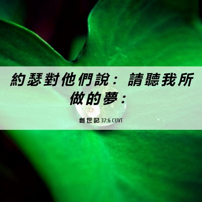 Picture 06 - 創 世 記 37:6 CUVT - 約 瑟 對 他 們 說 ： 請 聽 我 所 做 - Bible Verse Picture