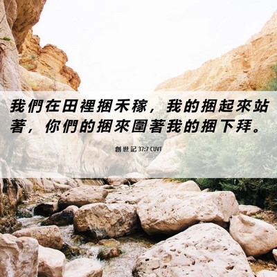 Picture 06 - 創 世 記 37:7 CUVT - 我 們 在 田 裡 捆 禾 稼 ， 我 的 捆 - Bible Verse Picture