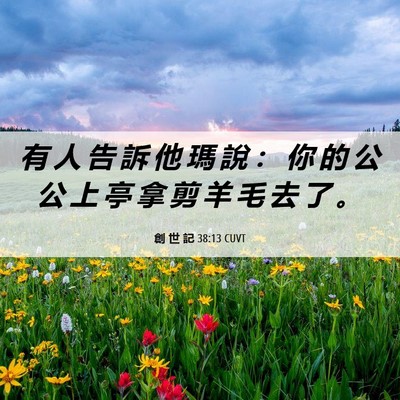 Picture 06 - 創 世 記 38:13 CUVT - 有 人 告 訴 他 瑪 說 ： 你 的 公 公 - Bible Verse Picture