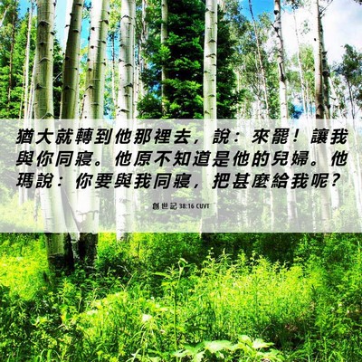 Picture 06 - 創 世 記 38:16 CUVT - 猶 大 就 轉 到 他 那 裡 去 ， 說 ： - Bible Verse Picture