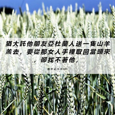 Picture 06 - 創 世 記 38:20 CUVT - 猶 大 託 他 朋 友 亞 杜 蘭 人 送 一 - Bible Verse Picture