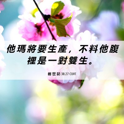 Picture 06 - 創 世 記 38:27 CUVT - 他 瑪 將 要 生 產 ， 不 料 他 腹 裡 - Bible Verse Picture