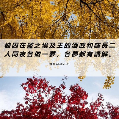 Picture 06 - 創 世 記 40:5 CUVT - 被 囚 在 監 之 埃 及 王 的 酒 政 和 - Bible Verse Picture