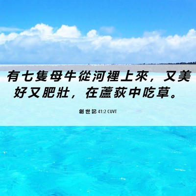 Picture 06 - 創 世 記 41:2 CUVT - 有 七 隻 母 牛 從 河 裡 上 來 ， 又 - Bible Verse Picture