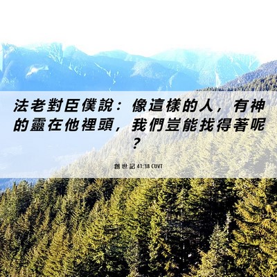 Picture 06 - 創 世 記 41:38 CUVT - 法 老 對 臣 僕 說 ： 像 這 樣 的 人 - Bible Verse Picture