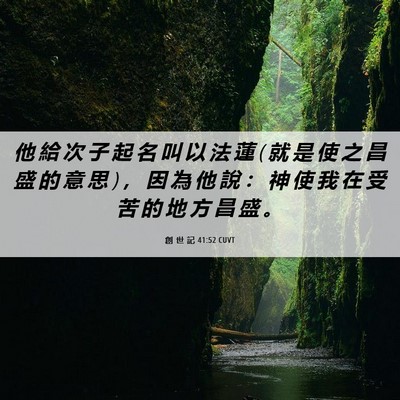 Picture 06 - 創 世 記 41:52 CUVT - 他 給 次 子 起 名 叫 以 法 蓮 ( 就 是 - Bible Verse Picture