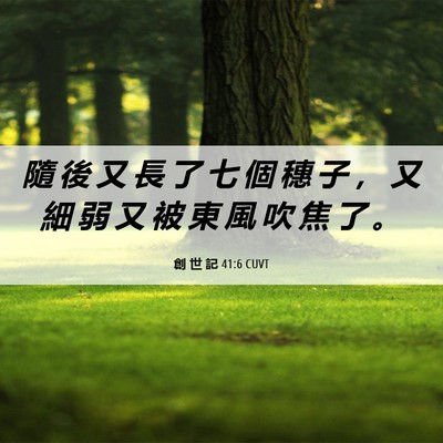 Picture 06 - 創 世 記 41:6 CUVT - 隨 後 又 長 了 七 個 穗 子 ， 又 細 - Bible Verse Picture