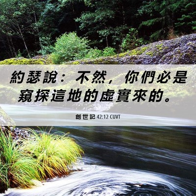 Picture 06 - 創 世 記 42:12 CUVT - 約 瑟 說 ： 不 然 ， 你 們 必 是 窺 - Bible Verse Picture