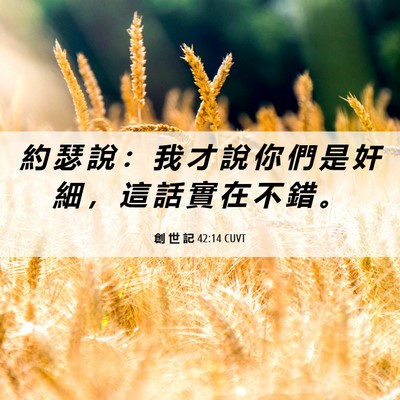 Picture 06 - 創 世 記 42:14 CUVT - 約 瑟 說 ： 我 才 說 你 們 是 奸 細 - Bible Verse Picture