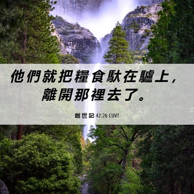 Picture 06 - 創 世 記 42:26 CUVT - 他 們 就 把 糧 食 馱 在 驢 上 ， 離 - Bible Verse Picture