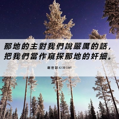 Picture 06 - 創 世 記 42:30 CUVT - 那 地 的 主 對 我 們 說 嚴 厲 的 話 - Bible Verse Picture