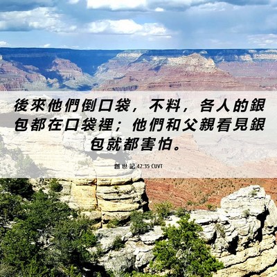 Picture 06 - 創 世 記 42:35 CUVT - 後 來 他 們 倒 口 袋 ， 不 料 ， 各 - Bible Verse Picture
