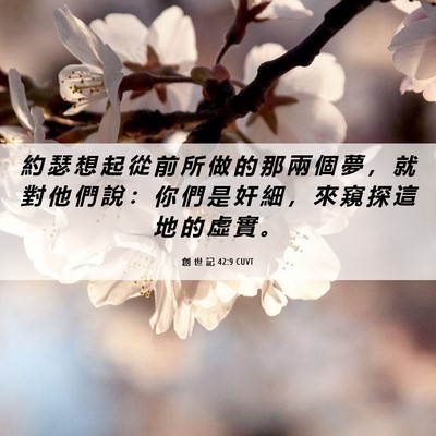 Picture 06 - 創 世 記 42:9 CUVT - 約 瑟 想 起 從 前 所 做 的 那 兩 個 - Bible Verse Picture