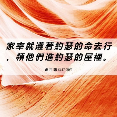 Picture 06 - 創 世 記 43:17 CUVT - 家 宰 就 遵 著 約 瑟 的 命 去 行 ， - Bible Verse Picture