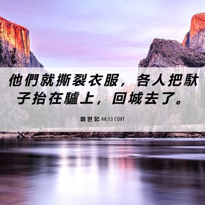 Picture 06 - 創 世 記 44:13 CUVT - 他 們 就 撕 裂 衣 服 ， 各 人 把 馱 - Bible Verse Picture