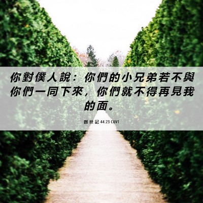 Picture 06 - 創 世 記 44:23 CUVT - 你 對 僕 人 說 ： 你 們 的 小 兄 弟 - Bible Verse Picture
