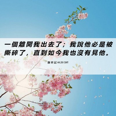 Picture 06 - 創 世 記 44:28 CUVT - 一 個 離 開 我 出 去 了 ； 我 說 他 - Bible Verse Picture