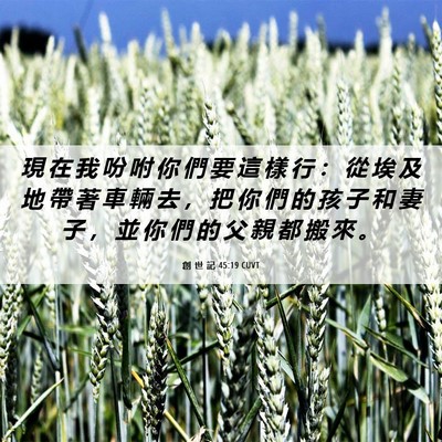 Picture 06 - 創 世 記 45:19 CUVT - 現 在 我 吩 咐 你 們 要 這 樣 行 ： - Bible Verse Picture