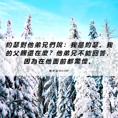 Picture 06 - 創 世 記 45:3 CUVT - 約 瑟 對 他 弟 兄 們 說 ： 我 是 約 - Bible Verse Picture