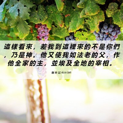 Picture 06 - 創 世 記 45:8 CUVT - 這 樣 看 來 ， 差 我 到 這 裡 來 的 - Bible Verse Picture