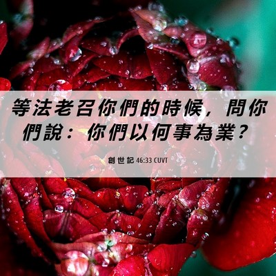 Picture 06 - 創 世 記 46:33 CUVT - 等 法 老 召 你 們 的 時 候 ， 問 你 - Bible Verse Picture