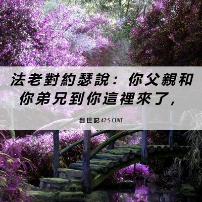 Picture 06 - 創 世 記 47:5 CUVT - 法 老 對 約 瑟 說 ： 你 父 親 和 你 - Bible Verse Picture