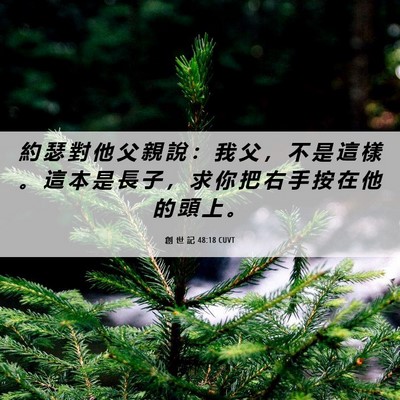 Picture 06 - 創 世 記 48:18 CUVT - 約 瑟 對 他 父 親 說 ： 我 父 ， 不 - Bible Verse Picture