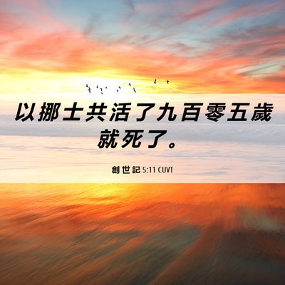 Picture 06 - 創 世 記 5:11 CUVT - 以 挪 士 共 活 了 九 百 零 五 歲 就 - Bible Verse Picture
