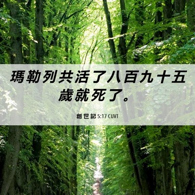 Picture 06 - 創 世 記 5:17 CUVT - 瑪 勒 列 共 活 了 八 百 九 十 五 歲 - Bible Verse Picture