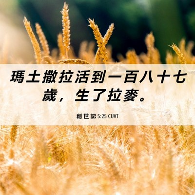 Picture 06 - 創 世 記 5:25 CUVT - 瑪 土 撒 拉 活 到 一 百 八 十 七 歲 - Bible Verse Picture