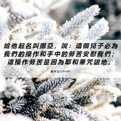 Picture 06 - 創 世 記 5:29 CUVT - 給 他 起 名 叫 挪 亞 ， 說 ： 這 個 - Bible Verse Picture