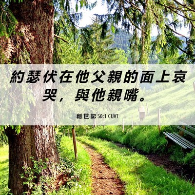 Picture 06 - 創 世 記 50:1 CUVT - 約 瑟 伏 在 他 父 親 的 面 上 哀 哭 - Bible Verse Picture