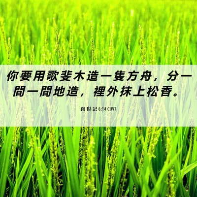 Picture 06 - 創 世 記 6:14 CUVT - 你 要 用 歌 斐 木 造 一 隻 方 舟 ， - Bible Verse Picture