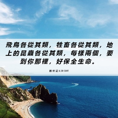 Picture 06 - 創 世 記 6:20 CUVT - 飛 鳥 各 從 其 類 ， 牲 畜 各 從 其 - Bible Verse Picture