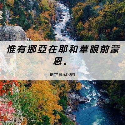 Picture 06 - 創 世 記 6:8 CUVT - 惟 有 挪 亞 在 耶 和 華 眼 前 蒙 恩 - Bible Verse Picture