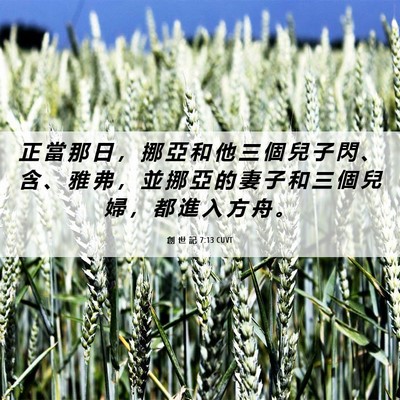 Picture 06 - 創 世 記 7:13 CUVT - 正 當 那 日 ， 挪 亞 和 他 三 個 兒 - Bible Verse Picture