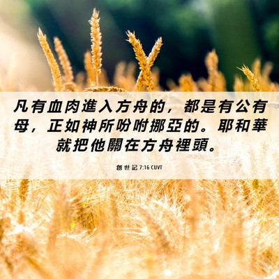Picture 06 - 創 世 記 7:16 CUVT - 凡 有 血 肉 進 入 方 舟 的 ， 都 是 - Bible Verse Picture
