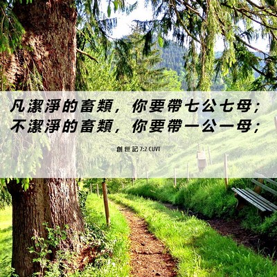 Picture 06 - 創 世 記 7:2 CUVT - 凡 潔 淨 的 畜 類 ， 你 要 帶 七 公 - Bible Verse Picture